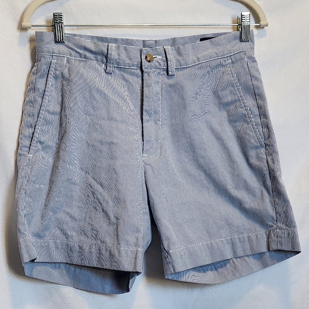 Polo By Ralph Lauren Blue Striped Shorts